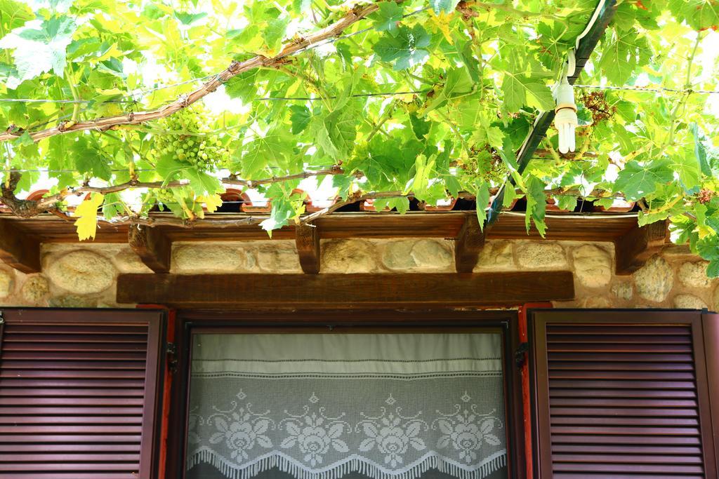 Villa Agapitos Sithonia Dış mekan fotoğraf
